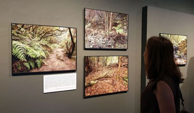 Prorrogada la exposici&oacute;n &lsquo;Descubriendo los paisajes de la laurisilva&rsquo;