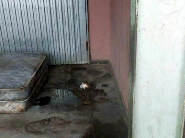 Estado de abandono de la que en su d&iacute;a fuera la Estaci&oacute;n de Guaguas de San Benito