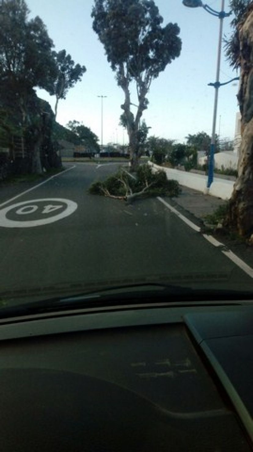El Cabildo declara alerta en Gran Canaria por fuertes vientos de 85 km/h