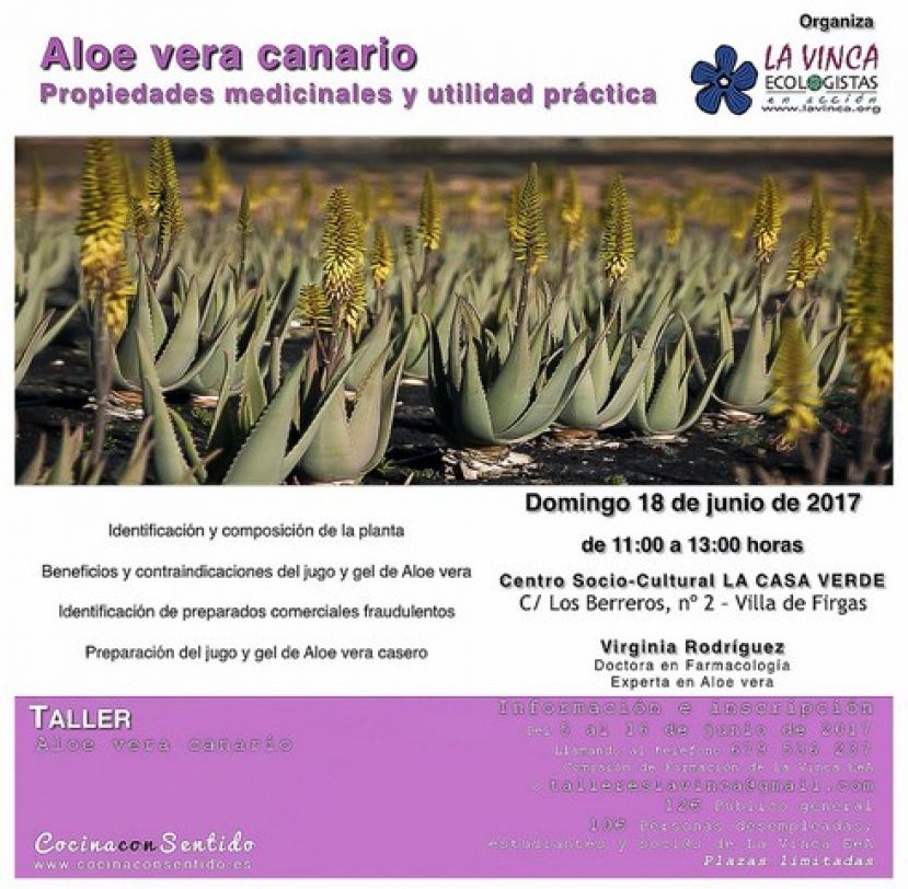 Taller &ldquo;ALOE VERA CANARIO. Propiedades medicinales y utilidad pr&aacute;ctica&rdquo;