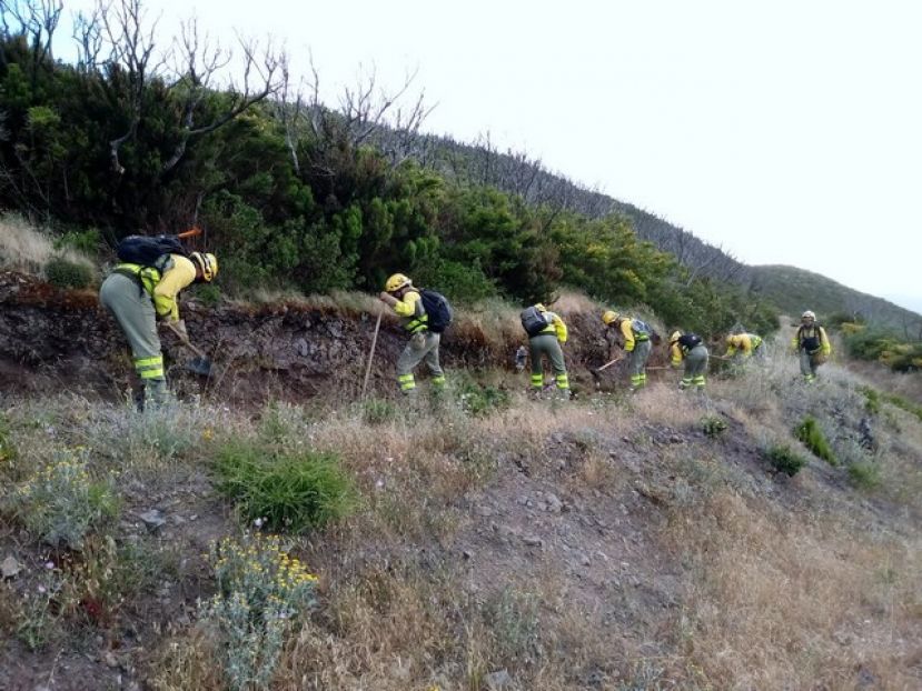La Gomera refuerza las medidas ante la alerta por riesgo de incendios