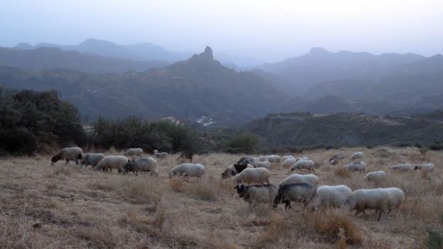 El TEA Tenerife acogi&oacute; &lsquo;Axis Mundi, Cumbres Sagradas de Gran Canaria&rsquo;