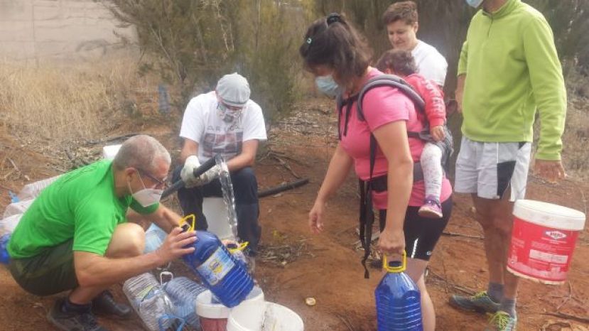 Regados más de cuatrocientos árboles de Laurisilva en la Montaña de Firgas