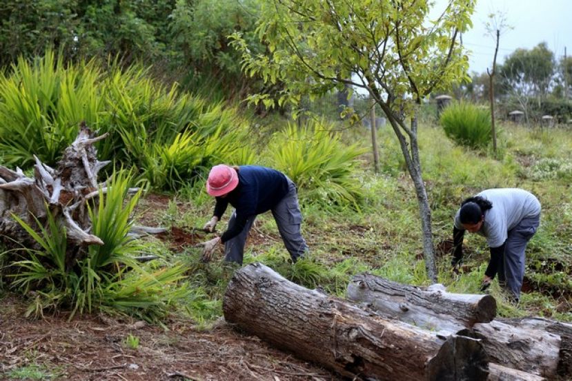 Valleseco ha iniciado el Plan de Empleo para Unidades Familiares Sin Recursos
