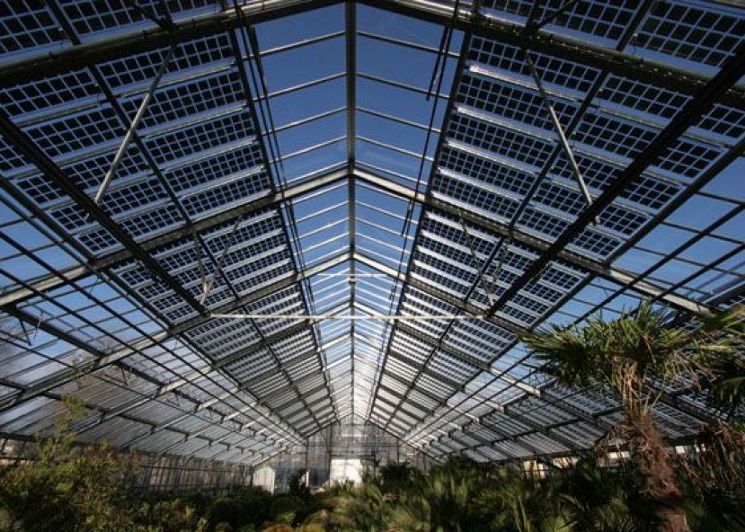 Eco-cooperativa Easy Home: Empleo estable y vivienda digna para los canarios