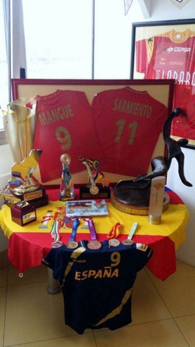 G&aacute;ldar: Campeonato de Canarias de Balonmano Infantil este fin de semana