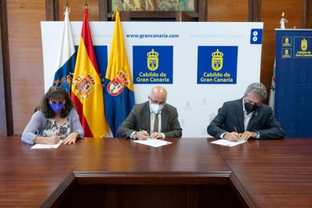 El cabildo y el Colegio de Arquitectos crean una bolsa de trabajo para realizar servicios