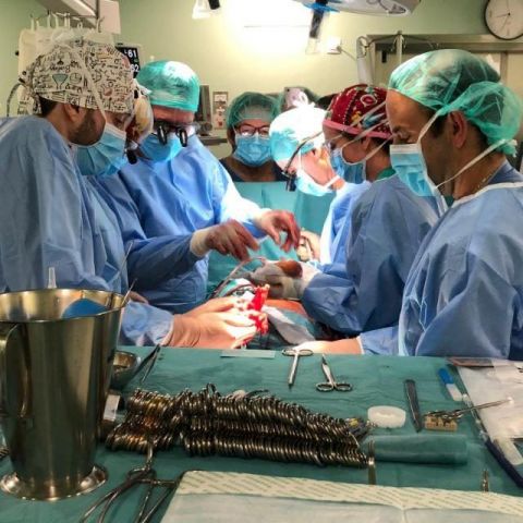 Sanidad agradece la solidaridad de 42 donantes para poder realizar 72 trasplantes