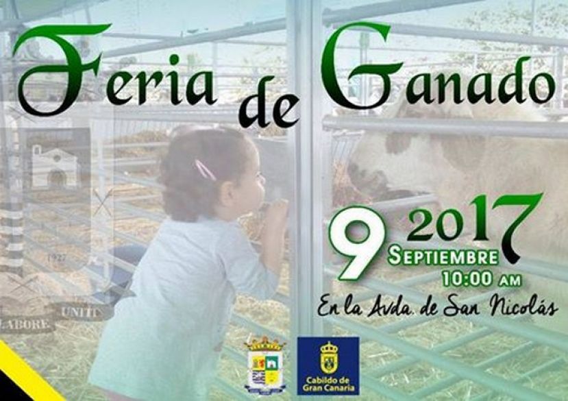 La Aldea: Feria de Ganado este sábado, cierre y prohibición de estacionamiento