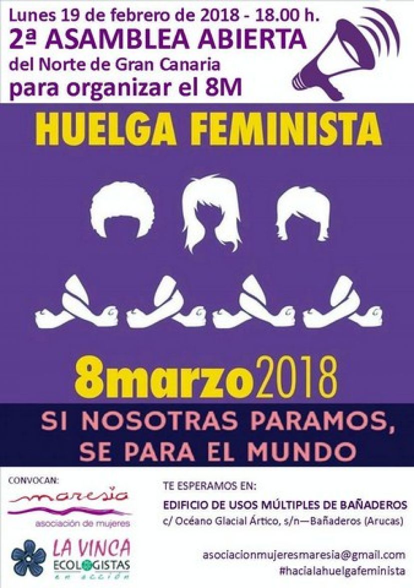 Segunda Asamblea del Norte de GC para organizar el 8M hacia la Huelga de mujeres