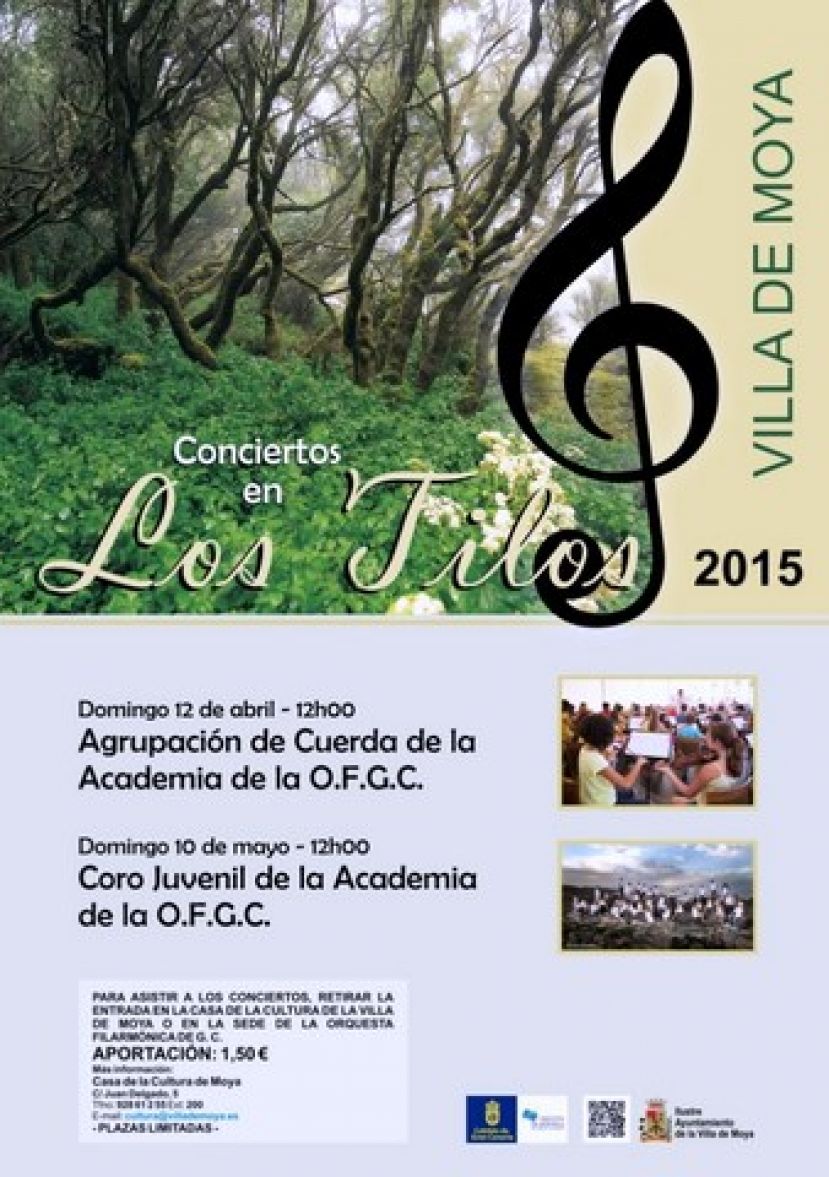 La Villa de Moya celebra el ciclo musical Conciertos en Los Tilos 2015