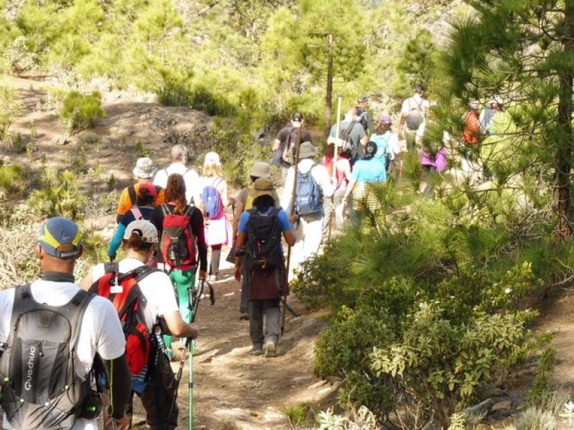 Ruta Natural&iacute;stica Guiada por Azaenegue de Artenara a La Aldea