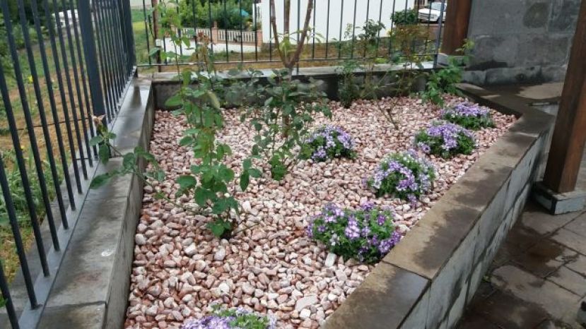 Valleseco lleva a cabo labores de limpieza, poda y plantaci&oacute;n de flores en los parques