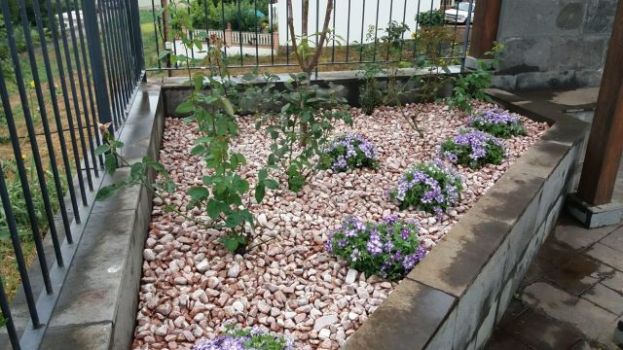 Valleseco lleva a cabo labores de limpieza, poda y plantaci&oacute;n de flores en los parques