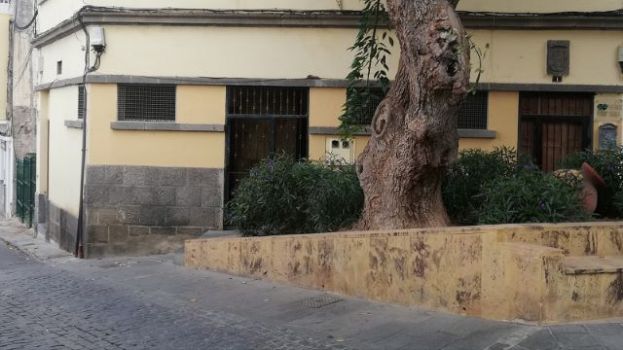 El PSOE de G&aacute;ldar vuelve a insistir en su petici&oacute;n de apertura de los ba&ntilde;os p&uacute;blicos