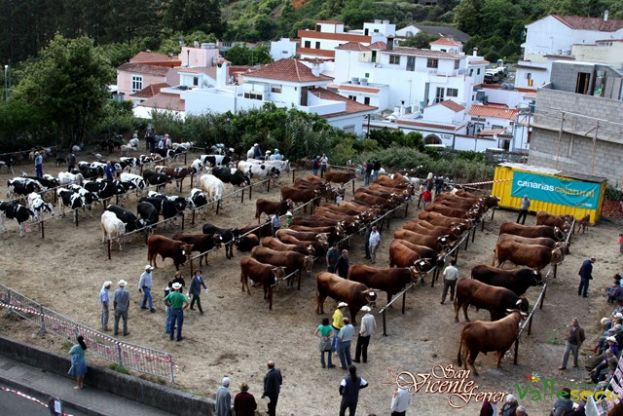 Valleseco: Se organiza como cada año, la Feria Exposición de Ganado
