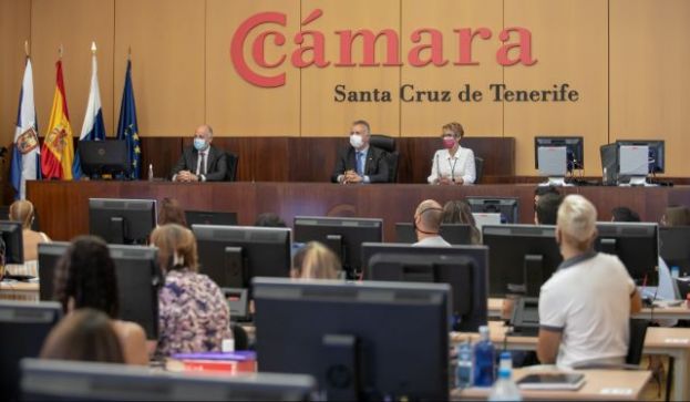 Abonados los 87,4 millones de euros en ayudas a 15.038 pymes y aut&oacute;nomos