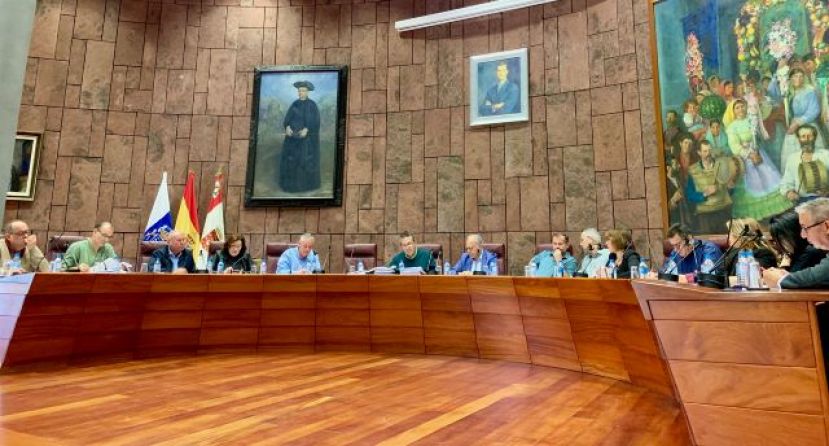 El Pleno respalda la adhesión de La Gomera a la Estrategia de Promoción de la Salud