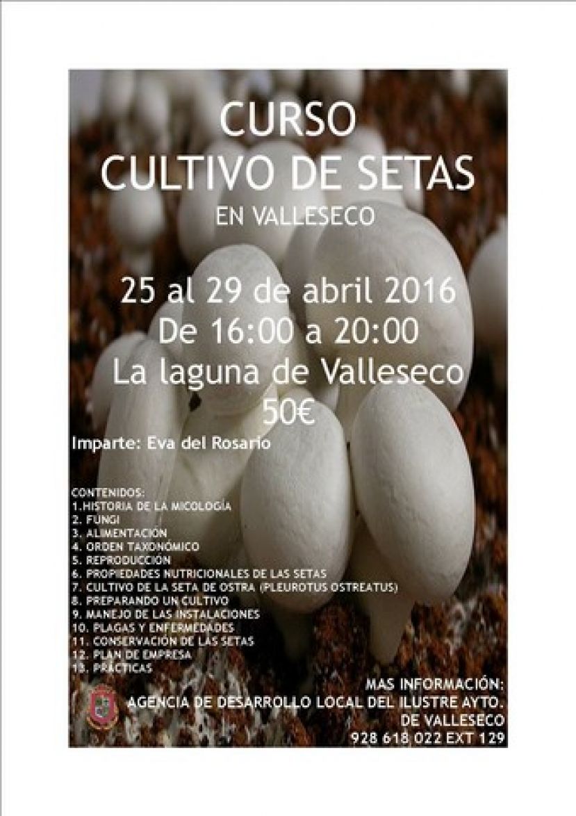 Valleseco lanza un curso del cultivo de setas