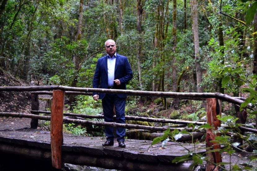 La Gomera: Curbelo pregunta por el retraso del Plan de Desarrollo Energético