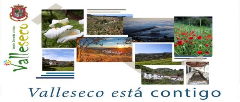 Alumnado de Valleseco se beneficiar&aacute; de las ayudas para material escolar