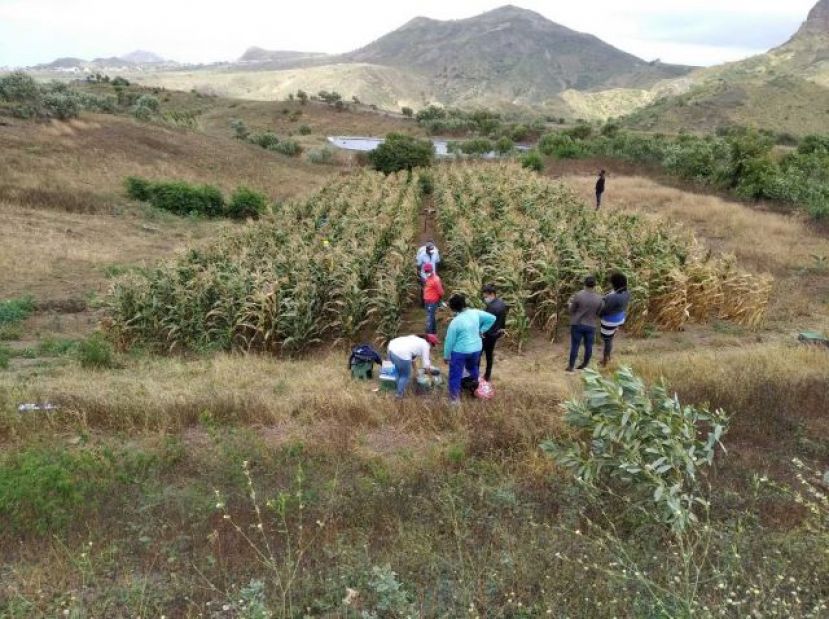 Turcón felicita al Proyecto ADAPTaRES por el premio Greening The Islands