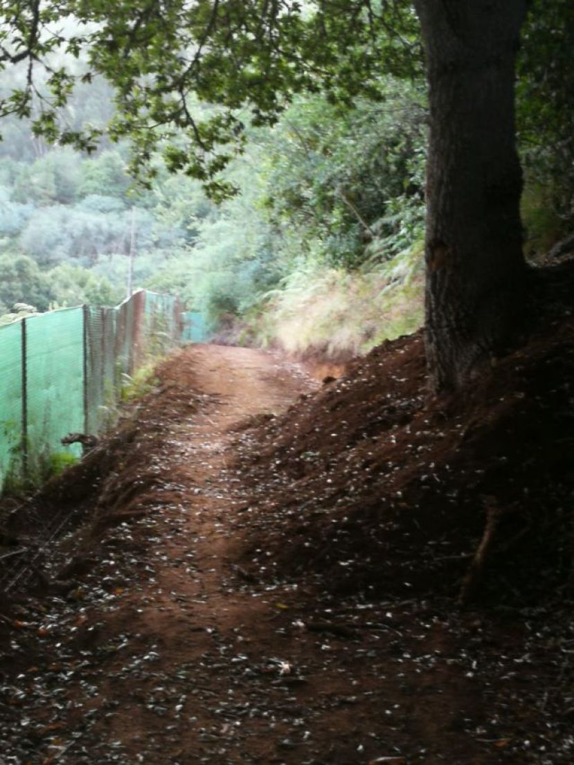 La Vinca denuncia en Valleseco la transformación de un sendero en pista