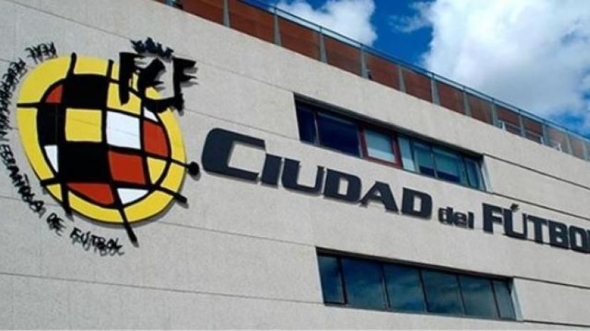 La Primera Divisi&oacute;n RFEF ser&aacute; una competici&oacute;n "profesionalizada"