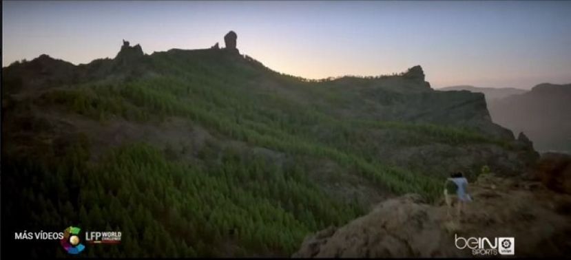 El Cabildo acude al Festival de Cannes Lions de publicidad