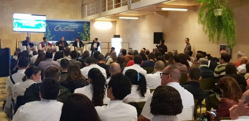 Gran Canaria se prepara para participar del negocio mundial de algas de 10.000 millones de euros con sus casi 200 especies