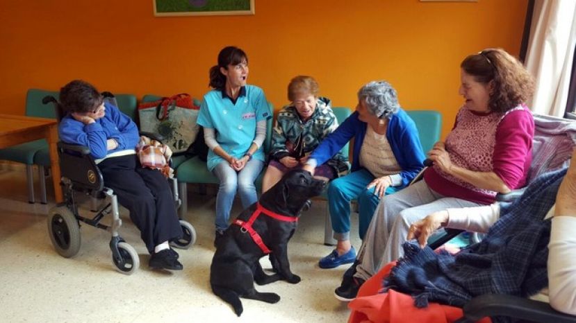 Gu&iacute;a: Programa de Intervenci&oacute;n Psicol&oacute;gica, Educativa y Social