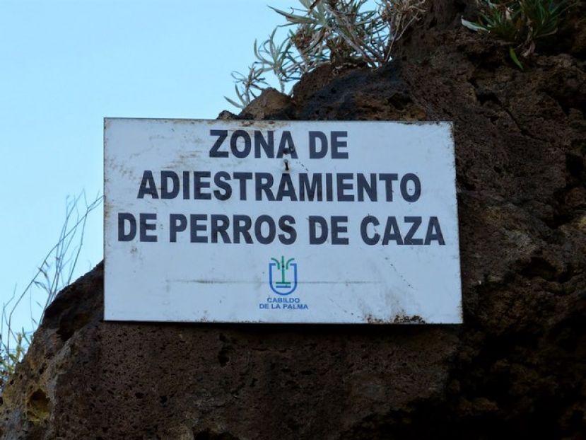 Pol&iacute;tica Territorial saca a informaci&oacute;n p&uacute;blica el proyecto de decreto de caza