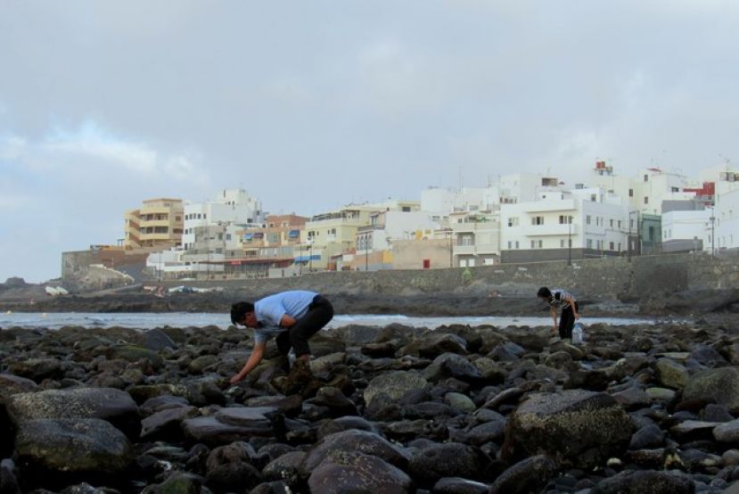 LA VINCA Ecologistas en Acci&oacute;n denuncia el expolio de nuestras costa