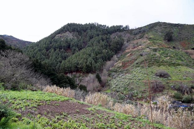 Valleseco: Descubrir los recursos hídricos a través del senderismo