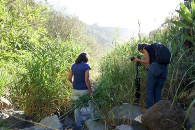 La Reserva de la Biosfera de Gran Canaria proporciona voz y espacio a las mujeres del sector ambiental y forestal