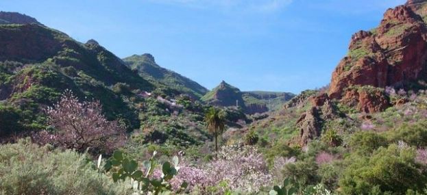 Valleseco te propone una ruta por el extenso barranco de Guayadeque
