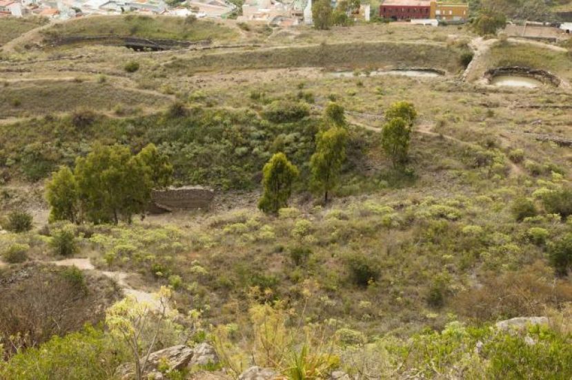 Transición Ecológica cierra la consulta pública sobre Lomo de Riquiánez en Arucas