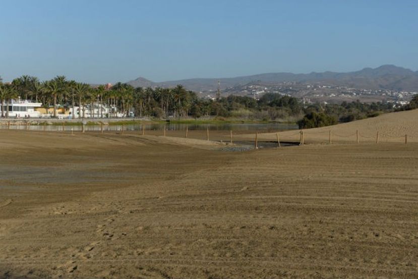 El Cabildo culmina la apertura de la Charca de Maspalomas tras las mareas del Pino