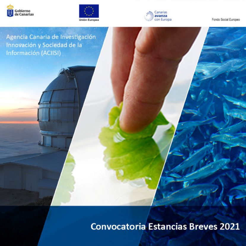 Conocimiento destina 200.000 euros para formación del personal investigador en estancias breves