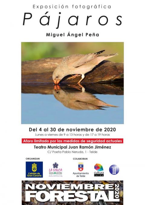 Noviembre Forestal 2020 visita Telde con la Exposición Divulgativa “PAJAROS”