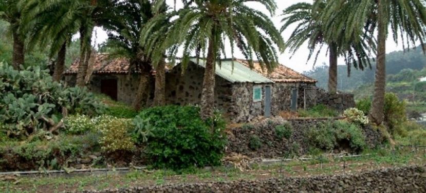 La Gomera: Recuperaci&oacute;n de semillas y una colecci&oacute;n de &aacute;rboles frutales