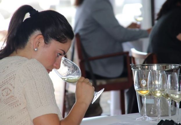 300.000 euros para estimular el comercio interior del sector primario