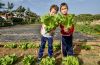 Aprender a cultivar, ver crecer hortalizas y saber recolectarlas, objetivo de la docencia