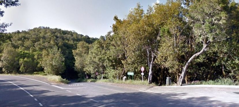 El Cabildo de La Gomera aprueba el proyecto de la carretera Laguna Grande