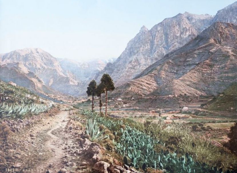 El Cabildo celebra una visita guiada al Valle de Agaete