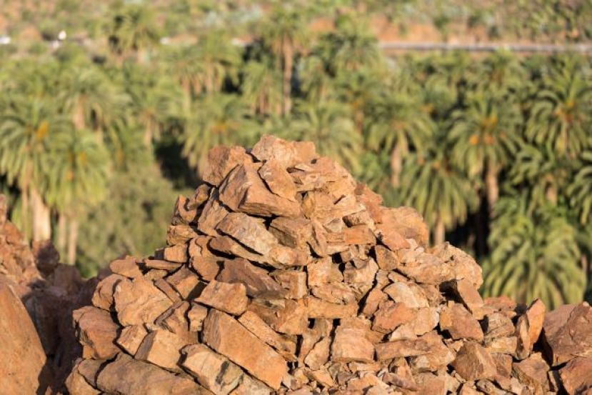Se celebra la primera de las dos visitas previstas a la Necr&oacute;polis de Arteara