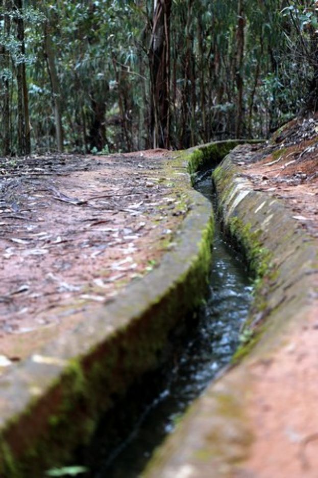 Valleseco: Ruta de senderismo por la acequia de Crespo