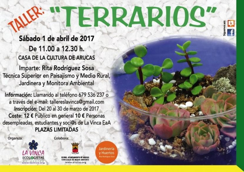 Arucas: Taller para aprender todos los trucos y construir un terrario para plantas