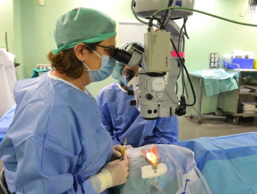 El Hospital Dr. Negrín incorpora la técnica Crosslinking a su cartera de procedimientos