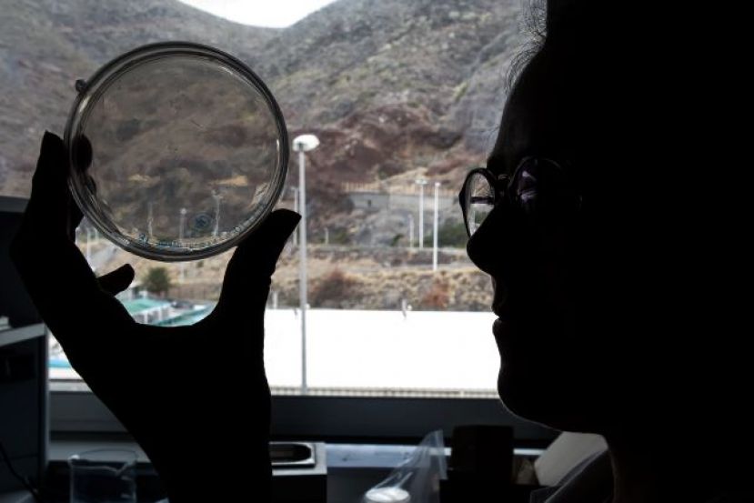 Mujeres y ciencia para un mundo sostenible